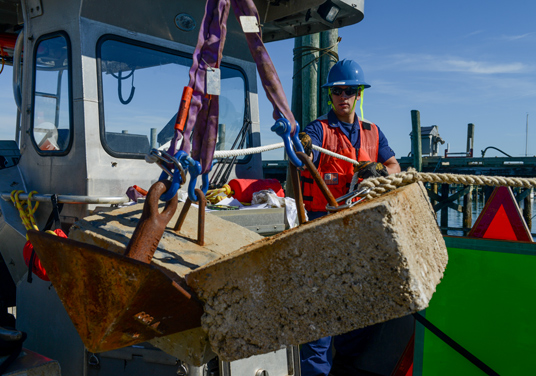 catamaran workboat