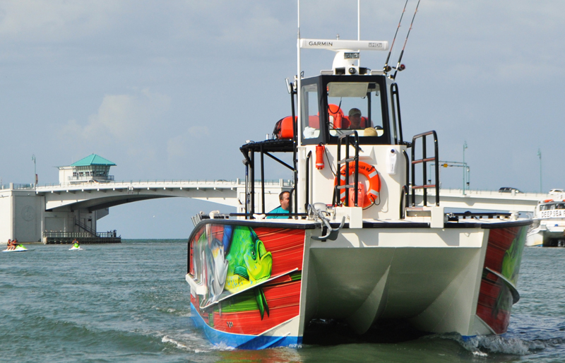 hydrofoil power catamaran